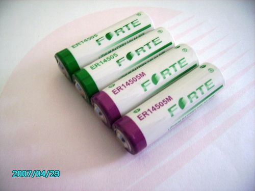 Forte Lithium Battery