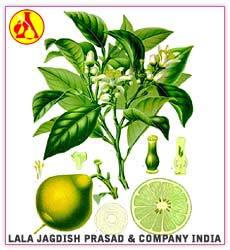 Bergamot Oil