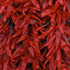 Dry Chillies