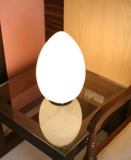 Egg Shape Table Lamp