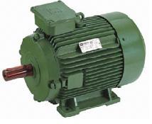 Multi Speed Electric Motors