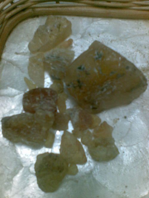 Organic Gum Copal