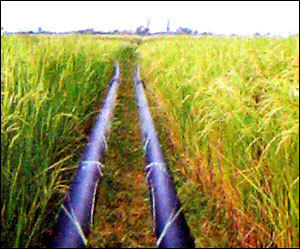 HDPE Irrigation Pipes - 50 Years Lifespan, Tough & Strong Design, Weather & Abrasion Resistant, Flexible & Light Weight