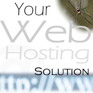 Web Hosting Solutions