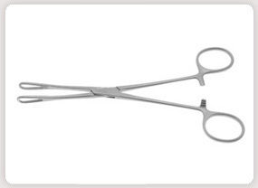 Rampley Sponge Holding Forcep