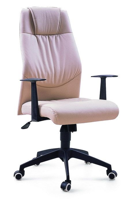 Executive Chair - Synthetic Leather Upholstered, Height Adjustable with Gas Lift | Fixed Armrests, Nylon Five-Star Base for Enhanced Stability