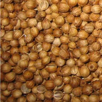 Coriander Seed