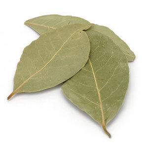 Indian Bay Leaves