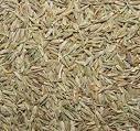 Cumin Seed