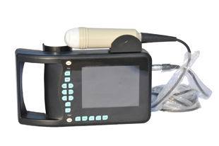 SS-1V Palm Handle Veterinary Ultrasound B Scanner 