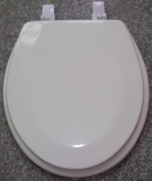 17 Toilet Seat 