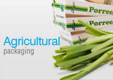 Agricultural Packaging Boxes - Cardboard, Variable Dimensions, Flute Types B/C/E | Water-Resistant, Food-Safe, Custom Sizes, Stackable Design