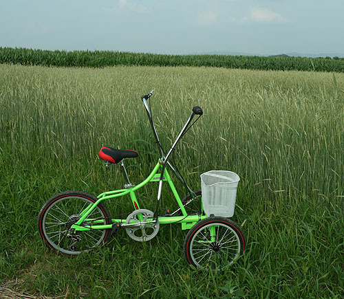 Hand & Foot Tricycle