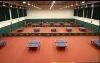 रोल्स में टेबल टेनिस पीवीसी फ़्लोरिंग