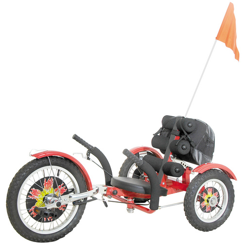 Z Kart (Children Size)