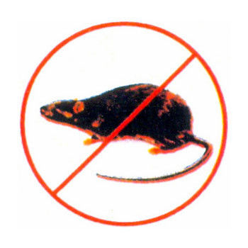 Rodent Control By Indian Pest Control Company
