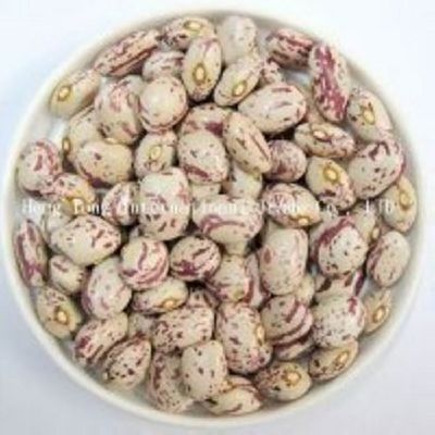 Xinjiang Light Speckled Kidney Bean