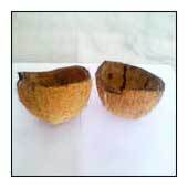  नारियल शैल