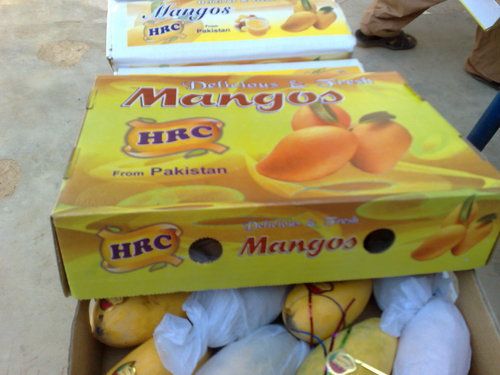 Fresh Mangoes