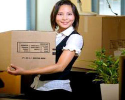 Office Shifting Services By State Cargo Packers & Movers