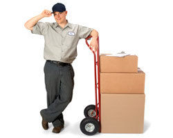 Packing & Moving Services