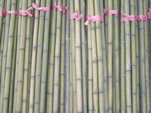 Bamboo Poles Sticks