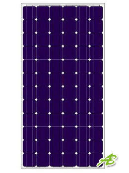 Solar PV Module