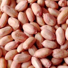 Groundnut Kernels