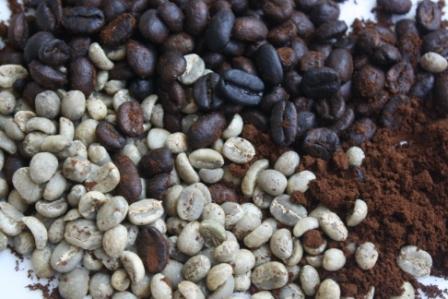 Arabica Civet Coffee In Powder
