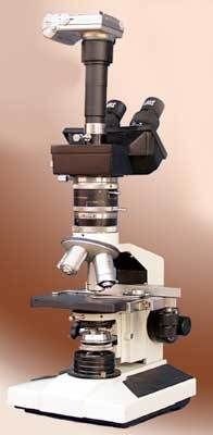 Trinocular Polarizing Microscope