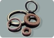 Oil Seals