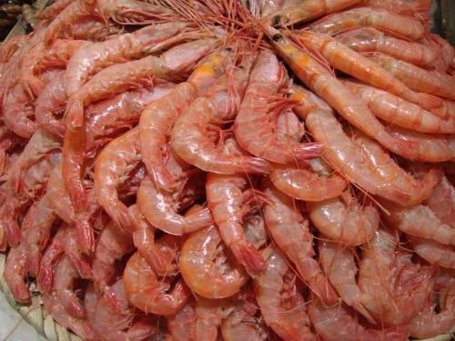 Pud Red Shrimps