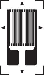 Strain Gauge