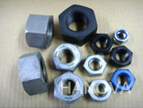 Hex Nut