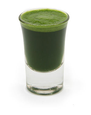 Wheat Grass Juice Freeze Dried