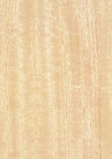 Golden Maple Veneers Plywood