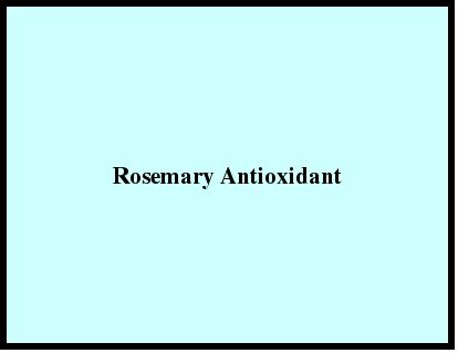 Rosemary Antioxidant