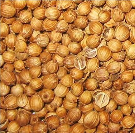 Coriander Seeds-whole Beans