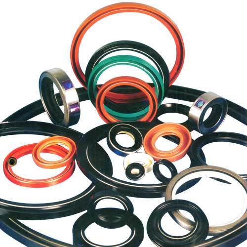 Oil Seals