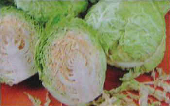 Cabbage Seeds