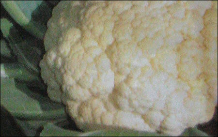 Cauliflower Seeds