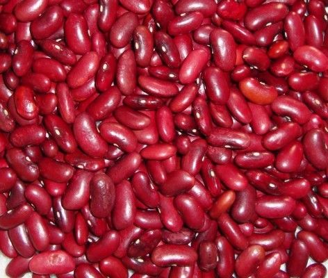 Red Kidney Bean