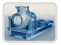 Chemical Process & Thermic Fluid Pumps