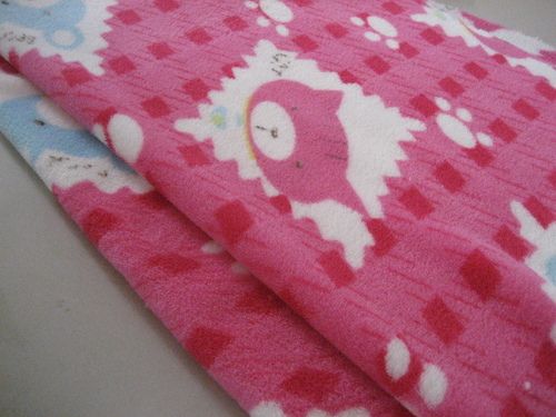 Coral Fleece Blanket 