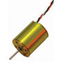 Brushless Motor