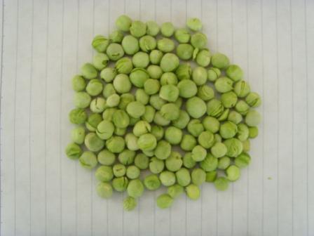 Freeze Dried Green Pea