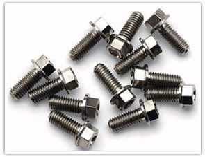 Hex Flange Bolts