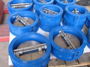 Cast Iron Wafer Type Check Valve