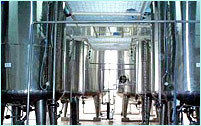 Malt & Malt Extract Plant