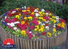 Seasonal Flower Beds Services